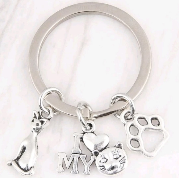 Stainless Steel Keychain - Picture 3 of 4